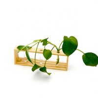 Wooden Supports For Hydroponic Plants