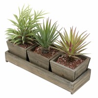 Gift Tray Brown Set of 3 Rustic Style Wood Succulent Planter Square flower Pots