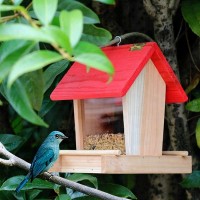 Wild bird protection feeder outdoor wooden DIY bird feeder for villa horticultural garden