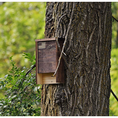 Factory customized natural wood bat house