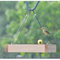 Custom custom wood seed tray hanging platform bird feeder